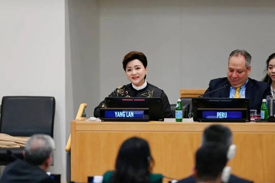 杨澜联合国诠释中国匠心 左右沙发六大工艺